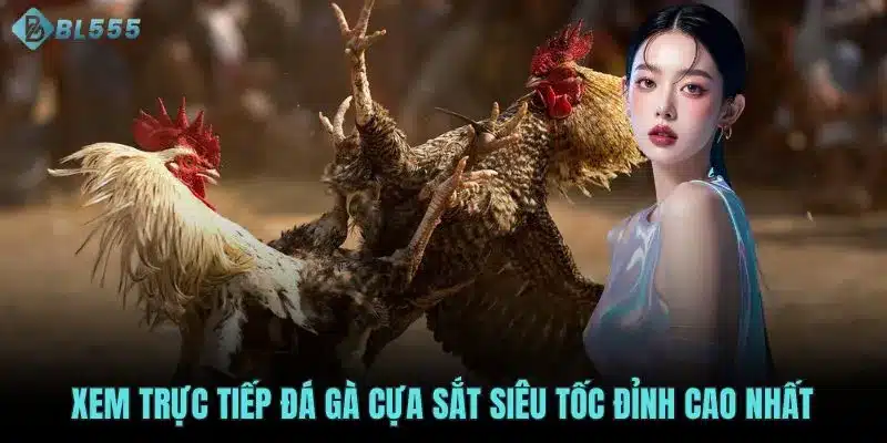 Xem trực tiếp đá gà cựa sắt siêu tốc đỉnh cao nhất 